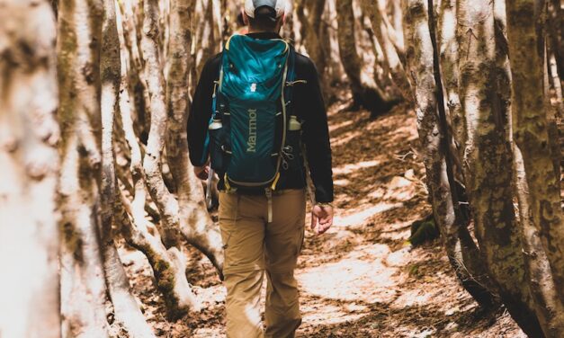 ADOTTA UN SENTIERO: L’INIZIATIVA DEL PARCO D’ASPROMONTE