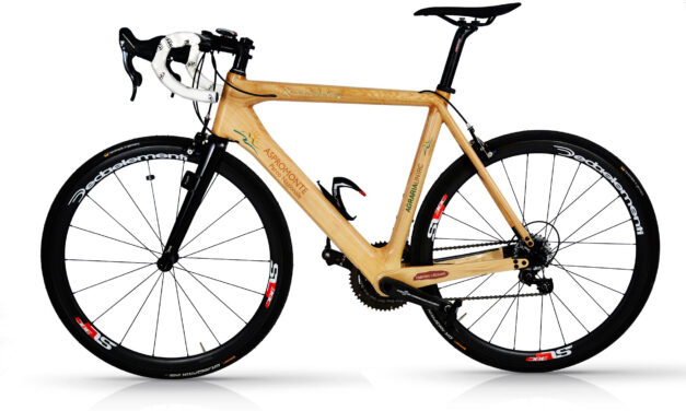La prima bici in legno di castagno dell’Aspromonte: il prototipo del Parco e di Agraria
