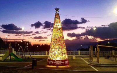 Reggio Calabria, torna a splendere l’albero di Natale dell’Associazione Italiana contro le Leucemie