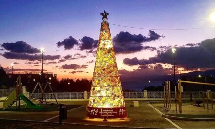 Reggio Calabria, torna a splendere l’albero di Natale dell’Associazione Italiana contro le Leucemie