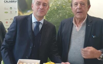 Bergamotto di Reggio Calabria agrume “big” del Macfrut 2022 di Rimini