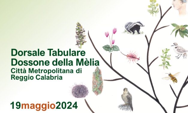 Camminata nella Biodiversità: alla scoperta del Sentiero del Brigante con FAI e GEA domenica 19 maggio in Aspromonte