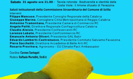 Favazzina Lemon Fest, le produzioni agricole locali per far crescere il territorio